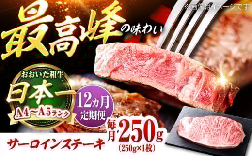 【全12回定期便】おおいた和牛 サーロインステーキ 250g (250g×1枚) 日田市 / 株式会社OTOGINO　牛肉 和牛 にく[AREF139]