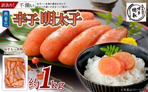 4FD1 博多徳永 訳あり!無選別(混合)不揃い 無着色辛子明太子1kg