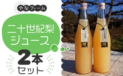 Q2 【やなファーム】二十世紀梨ジュース(710ml)2本セット