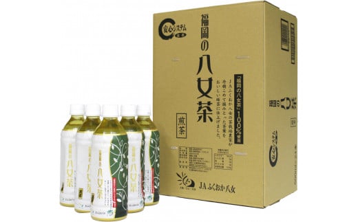 3CE1 福岡の八女茶　煎茶ペットボトル　500ｍｌ×24本（東峰村）