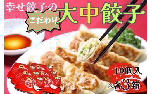 016-06-1幸せ餃子のボリューム満点こだわり大・中餃子(各3箱)/ 餃子 ギョウザ 手作り ジャンボ餃子  冷凍 食品 おかず 3箱 2サイズ  冷凍 食品 おかず  冷凍 食品 おかず 国産 国産野菜 高座豚 ぎょうざ  ギョーザ 餃子 冷凍餃子  焼き餃子 焼餃子 冷凍 冷凍食品 おかず 弁当 惣菜 おつまみ おやつ 時短  便利 焼くだけ お手軽 アレンジ 常備 食べ比べ