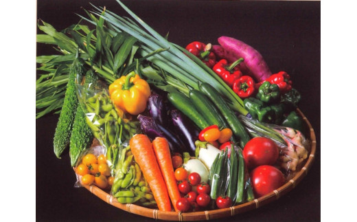 006-05じばさんずの野菜セット  秦野産野菜3～5種類程（はだのじばさんずから、とれたて新鮮の野菜を厳選してお送りします！）/ 産地直送 国産 JA 秦野産 直送 野菜 旬 人気 セット 新鮮  神奈川 農協 じばさんず 野菜セット おまかせ