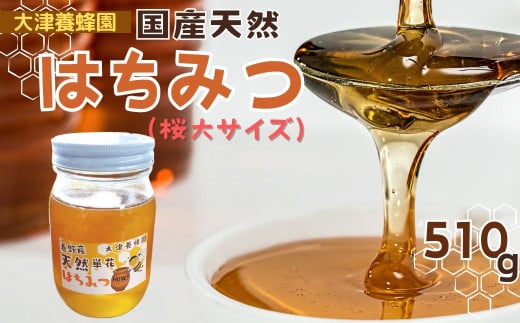 017-10大津養蜂園の天然はちみつ（桜・大サイズ）510g　/ 国産 大津養蜂園 秦野市内の畑や野山 蜜蜂 天然はちみつ 花の香 芳純 味わい 天然単花蜂蜜 桜のはちみつ