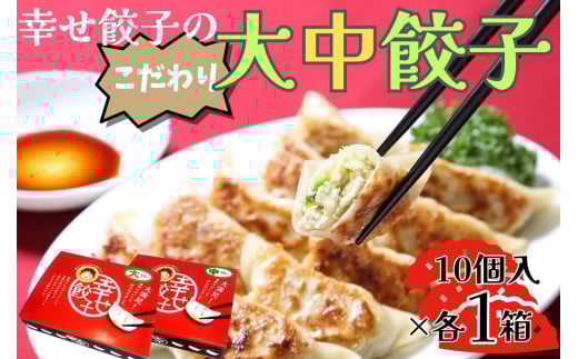 006-21-1幸せ餃子のボリューム満点こだわり大・中餃子(各1箱)/ 2サイズ 冷凍 食品 おかず 餃子 ギョウザ 手作り ジャンボ餃子 10個入り 2箱 冷凍 食品 おかず  冷凍 食品 おかず 国産 国産野菜 高座豚 ぎょうざ  ギョーザ 餃子 冷凍餃子  焼き餃子 焼餃子 冷凍 冷凍食品 おかず 弁当 惣菜 おつまみ おやつ 時短  便利 焼くだけ お手軽 アレンジ 常備 食べ比べ