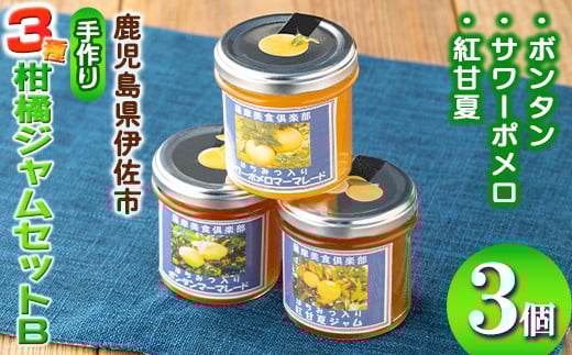 isa680 3種の柑橘ジャム食べ比べセットB(計3個・ボンタン、サワーポメロ、紅甘夏 各140g) 加工食品 果物 フルーツ 詰め合わせ 果肉 柑橘 低糖 ハンドメイド ジャム ギフト マーマレード [薩摩美食倶楽部]