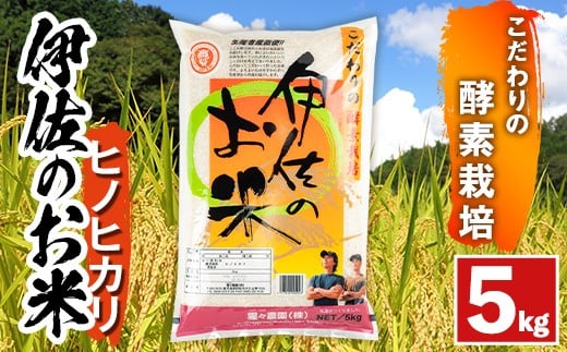 A0-30 <数量限定>令和7年産 新米 伊佐のお米 ヒノヒカリ (5kg) 国産 米 白米 お米 ご飯 精米 薩摩の米蔵 伊佐米 ひのひかり 酵素栽培 【猩々農園】