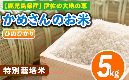 Z9-01 かめさんのお米(5kg・ひのひかり) ふるさと納税 伊佐市 特産品 白米 精米 ヒノヒカリ 【Farm-K】