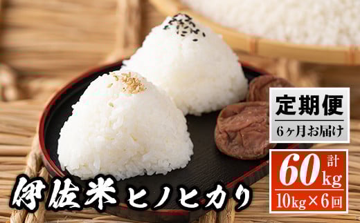 J5-01 【定期便】鹿児島県産!伊佐米ヒノヒカリ(計60kg・10kg×6ヶ月) ふるさと納税 伊佐市 特産品 薩摩 北の郷 特産品 お米 白米 精米 ひのひかり【神薗商店】