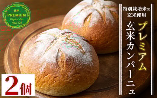 Z5-03 プレミアム玄米カンパーニュセット(2個) ふるさと納税 伊佐市 特産品 自社栽培 玄米 カンパーニュ パン【やまびこの郷】