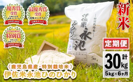 D2-04 【定期便】令和7年産 特別栽培米 伊佐米永池ひのひかり(計30kg・5kg×6ヶ月) 伊佐市 永池 お米 米 白米 精米 伊佐米 食味コンテスト 最優秀賞受賞 ヒノヒカリ 【エコファーム永池】