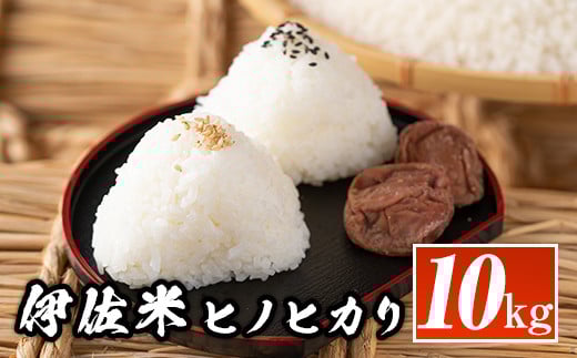 isa135  鹿児島県産!伊佐米ヒノヒカリ(10kg) ふるさと納税 伊佐市 特産品 国産 白米 精米 伊佐米 お米 米 ひのひかり【神薗商店】