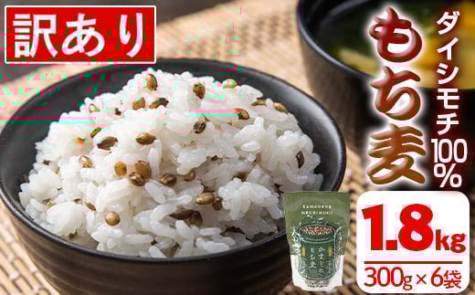 isa256 《訳あり・数量限定》鹿児島県伊佐市産もち麦!<ダイシモチ>(計1.8kg・300g×6袋) ふるさと納税 伊佐市 特産品 国産 九州産 訳あり 麦 ごはん 穀類 お米 ヘルシー 腸活 食物繊維【社会福祉法人ひまわり福祉会】