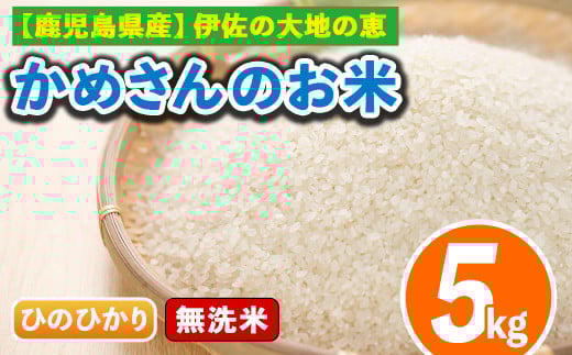 isa278 《数量限定》かめさんのお米(5kg・ひのひかり・無洗米) ふるさと納税 伊佐市 特産品 国産 白米 精米 無洗米 伊佐米 お米 米 生産者 ヒノヒカリ 新米 5kg 【Farm-K】