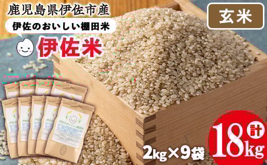 isa561 伊佐のおいしい棚田米〈玄米〉 ヒノヒカリ(計18kg・2kg×9袋)国産 精米 伊佐米 お米 米 ごはん ご飯 ひのひかり【薩摩美食倶楽部】