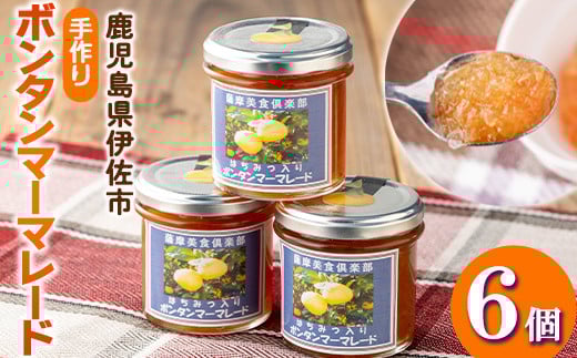 isa545 《数量限定》手作りはちみつ入りボンタンマーマレード(計6個・各140g) ふるさと納税 伊佐市 特産品 加工食品 果物 フルーツ 詰め合わせ 果肉 柑橘 低糖 ハンドメイド ジャム ギフト 【薩摩美食倶楽部】