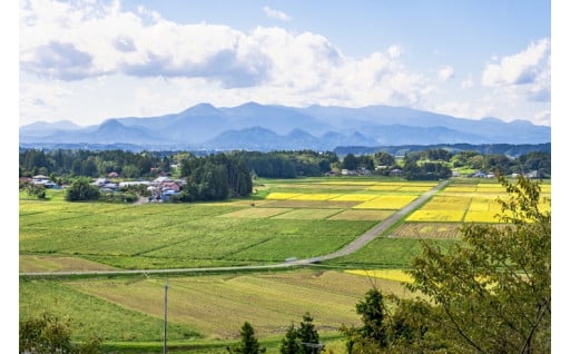 1. 産業のさらなる振興で活力のあるまちを創るために