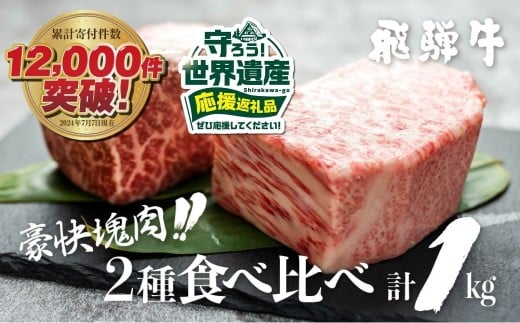 『とにかく白川村を応援コース（倍応援）』飛騨牛 ブロック肉 1kg (霜降り肉 赤身肉 500g×2 ) 訳あり 訳アリ 部位お任せ 不揃い ローストビーフ  牛肉 ブロック セット 真空パック 黒毛和牛 肉　肉厚　大容量  バーベキュー BBQ キャンプ 焼き肉 焼肉 ごちそう JA 30000円 駆け込み前の お申込なら すぐ届く すぐ届きやすい [S090]