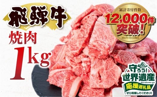 『とにかく白川村を応援コース（倍応援）』訳あり 飛騨牛 焼肉用 切り落とし肉 1kg 25000円 訳アリ 焼き肉用 切り落とし 切落し 牛肉 肉 バーベキュー BBQ セット 和牛 焼肉 部位おまかせ ごちそう 贅沢飛騨牛  JA ひだ 大容量 人気 おすすめ アウトドア  国産 冷凍  駆け込み前の お申込なら すぐ届く すぐ届きやすい [S201]