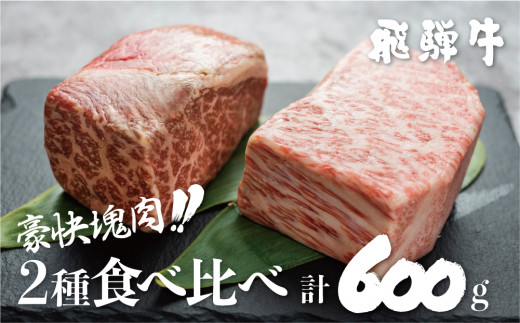 訳あり 飛騨牛ブロック [塊] 霜降り肉 赤身肉 300g×2 合計600g 食べ比べ 部位お任せ 不揃い 食べ比べ ブロック肉 セット 真空パック 黒毛和牛 肉 バーベキュー BBQ 焼肉 焼き肉 ローストビーフ 【ごちそう】JA 贅沢飛騨牛 20000円 2万円 [S046]