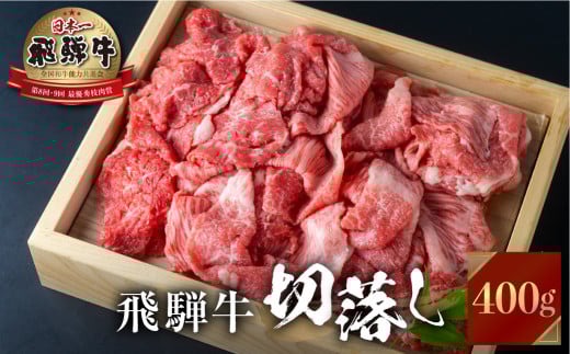 飛騨牛 切り落とし 肉 400g 訳あり JA 不揃い 牛肉 スライス 切落し 和牛 すき焼き すきやき 肉 切り落とし 牛肉 10000円 1万円 人気 おすすめ ランキング JAひだ [S049]