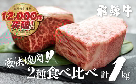 飛騨牛 ブロック肉 1kg (霜降り肉 赤身肉 500g×2 ) 訳あり 訳アリ 部位お任せ 不揃い ローストビーフ  牛肉 ブロック セット 真空パック 黒毛和牛 肉　肉厚　大容量  バーベキュー BBQ キャンプ 焼き肉 焼肉 ごちそう JA 30000円 駆け込み前の お申込なら すぐ届く すぐ届きやすい [S090]