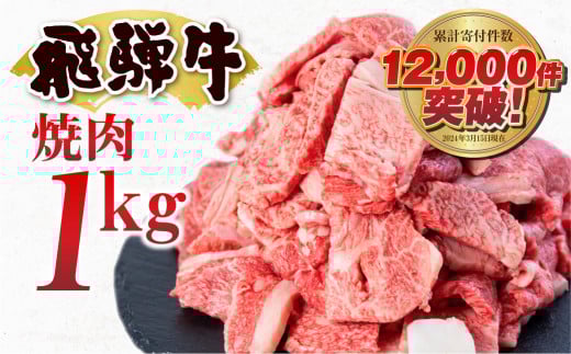 訳あり 飛騨牛 焼肉用 切り落とし肉 1kg 25000円 訳アリ 焼き肉用 切り落とし 切落し 牛肉 肉 バーベキュー BBQ セット 和牛 焼肉 部位おまかせ ごちそう 贅沢飛騨牛  JA ひだ 大容量 人気 おすすめ アウトドア  国産 冷凍  駆け込み前の お申込なら すぐ届く すぐ届きやすい [S201]