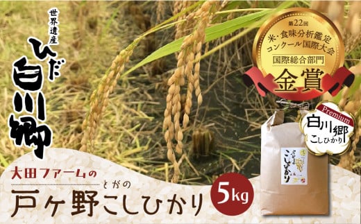 先行予約 令和7年産 白川郷 戸ヶ野のこしひかりプレミアム 5kg お米 大田ファーム [S436]