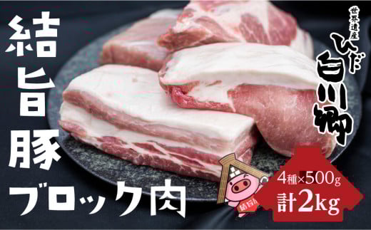 白川郷 結旨豚 ブロック肉 4種セット 計2kg 豚肉 ぶた肉 国産肉 抗生物質 合成抗菌剤不使用 真空パック かたまり肉 肉 バーベキュー BBQ キャンプ ステーキ ロース 肩ロース バラ肉 もも肉 食べ比べ [S225]