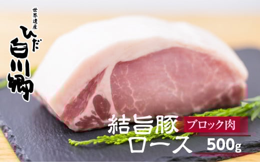 結旨豚ロース ブロック肉 500g 塊肉 ローストポーク ステーキ トンカツ かつ 肉 豚肉 国産 ブランド豚 キャンプ 白川郷 焼き肉 バーベキュー BBQ キャンプ てんから 6000円 岐阜県 白川村 [S322]