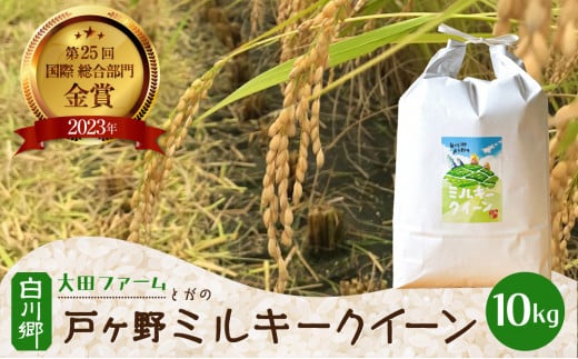 【先行予約】令和6年産 白川郷 戸ヶ野のミルキークイーン 10kg  [S586]