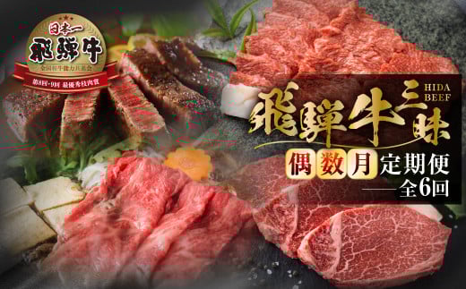 《 まるごと 定期便 》6回 偶数月 厳選 お届け 飛騨牛 三昧 肉 牛肉 すき焼き ステーキ 切り落とし 焼肉 バラエティ 肉 定期便 120000円 12万 [S632]