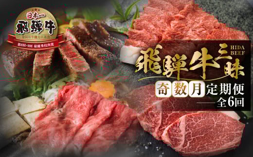 《まるごと定期便》6回 奇数月 厳選 お届け 飛騨牛 三昧  肉 牛肉 すき焼き ステーキ 切り落とし 焼肉 バラエティ 定期便 120000円 12万 [S633]