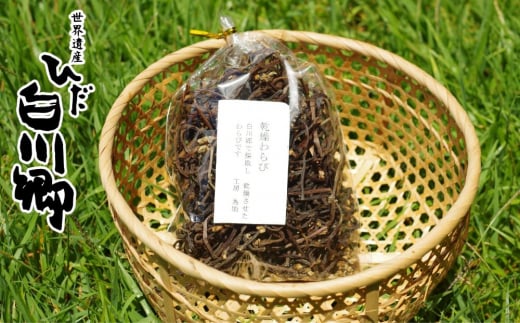 白川村の山から採れた乾燥わらび 国産 煮もの 和え物 80g 2袋[S735]