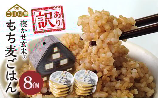 訳あり 白川村産 寝かせ玄米もち麦ごはん 8個[S739]