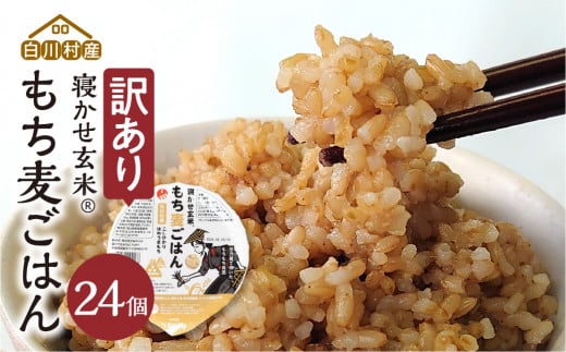 訳あり 白川村産 寝かせ玄米もち麦ごはん 24個[S741]