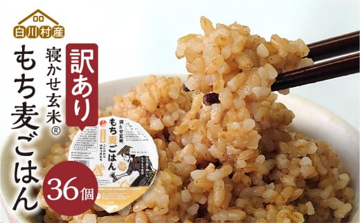 訳あり 白川村産 寝かせ玄米もち麦ごはん 36個[S742]