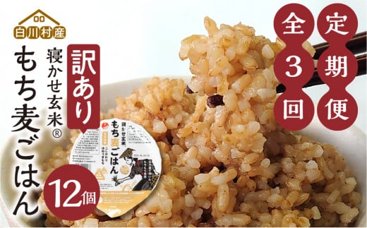 定期便3回お届け 白川村産 寝かせ玄米もち麦ごはん 12個[S783]