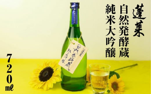 先行予約 蓬莱自然発酵蔵 純米大吟醸 渡辺酒造店 8000円 日本酒 渡辺酒造 父の日 母の日 ギフト お酒 日本酒 飛騨 の 地酒 世界遺産 白川郷 [S869]