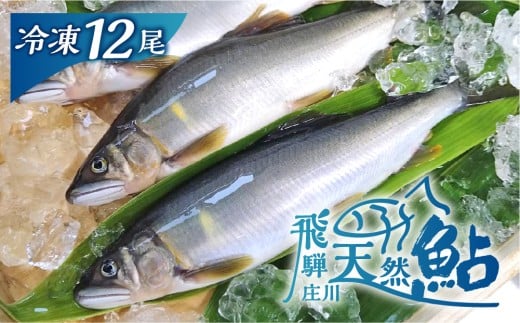 白川村産 飛騨庄川の天然鮎 12尾 18cm以上 鮎 天然 あゆ 魚 岐阜県 白川郷 世界遺産 塩焼き BBQ 30000円  [S512_12bi]