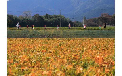 移住・定住・創業支援事業