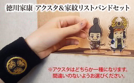 【家康といつも一緒】徳川家康 アクスタ（徳川家康）＆家紋リストバンドセット｜戦国武将 家康 アクリルスタンド リストバンド オリジナルキャラクター 歴史 戦国時代 プレゼント ギフト