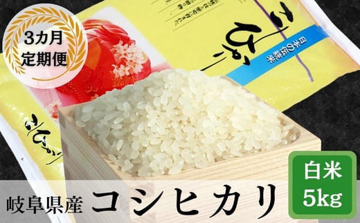 ≪令和7年産≫【3か月定期便】【新米】 岐阜 コシヒカリ (約5kg×3回)