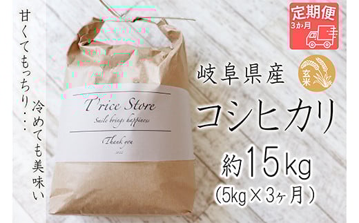 【令和6年産】 T rice Store 岐阜県産 コシヒカリ（玄米） 約15kg(5kg×3回）