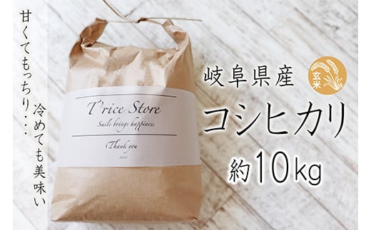 【令和6年産】 T rice Store 岐阜県産 コシヒカリ（玄米） 約10kg