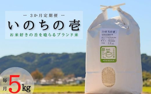≪令和6年産≫ 【3か月定期便】 【特別栽培米】 垂井町産 いのちの壱 (5kg×3回）