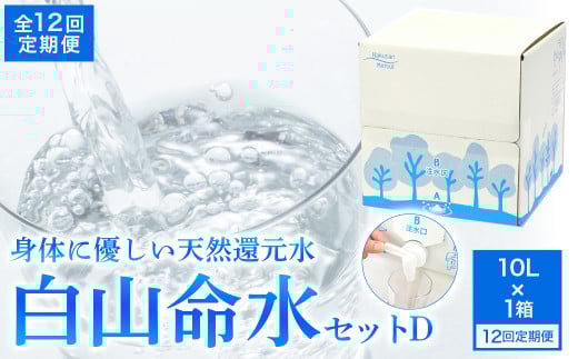 白山命水 セットD 12回定期便(10l×1箱) ミネラルウォーター 国産 人気 水 白山命水 天然水 定期 定期便
