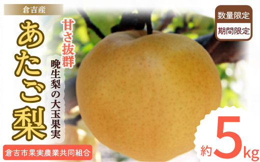 あたご梨 【倉吉産】 5kg(倉吉市果実農業共同組合) 梨 あたご梨 なし 鳥取 果物 フルーツ 和梨 先行予約 数量限定 詰め合わせ 甘い ジューシー 大玉 やわらかい 人気