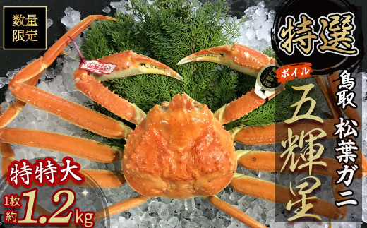 今だけ限定価格！【11月より値上げ】【魚倉】五輝星 ボイル 松葉ガニ （特特大1.2kg）　数量限定品 カニ カニ爪 タグ付き ズワイガニ 冷蔵 松葉ガニ マツバガニ 新鮮 ボイル  鳥取県 倉吉市 特大 カニしゃぶ 限定価格 限定寄付額 値上対象