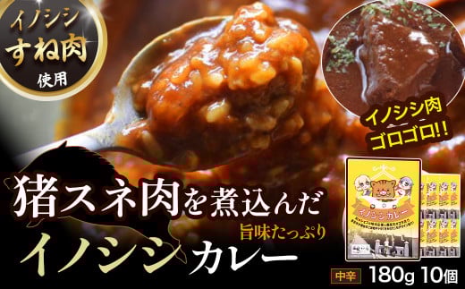 イノシシカレーセット (180g×10個) カレー レトルト イノシシ肉 猪 いのしし 小分け