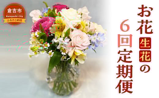 お花(生花)の6回定期便 花 定期便 生花 お花 鳥取県 倉吉市